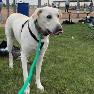 Meet your Posher, Megan